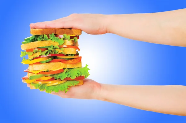 Riesen-Sandwich vor Gradientenhintergrund — Stockfoto