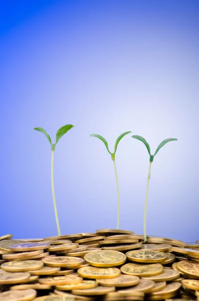 Concepto financiero con plántulas y monedas — Foto de Stock