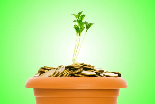 Zelené sazenice rostou z hromádky mincí — Stock fotografie