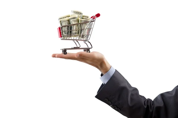 stock image Shopping cart full of money