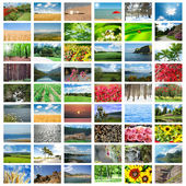 Картина, постер, плакат, фотообои "collage of many nature photos", артикул 9100959