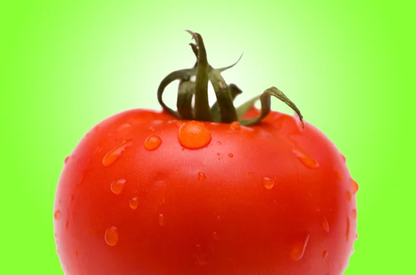 Fresh Red tomato against gradient — Stock Photo, Image