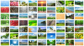 Картина, постер, плакат, фотообои "collage of many nature photos", артикул 9182572