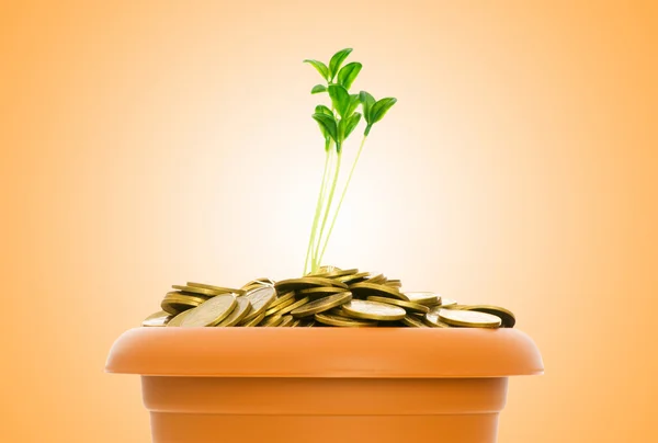 Green seedling growing from the pile of coins — Stock Photo, Image