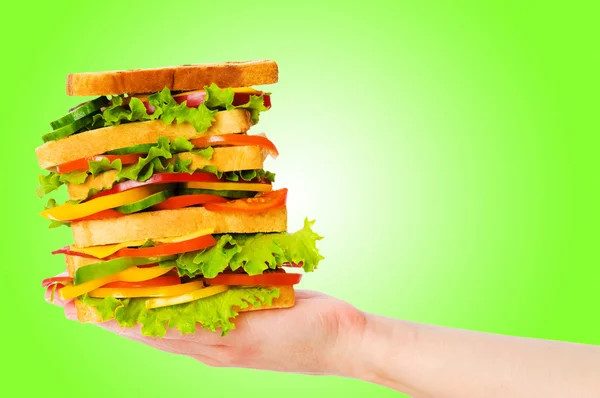 Reus sandwich tegen achtergrond met kleurovergang — Stockfoto