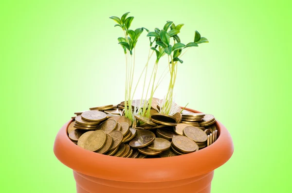 Green seedling growing from the pile of coins — Stock Photo, Image