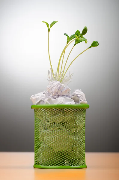 緑の苗は用紙切れの成長 — ストック写真