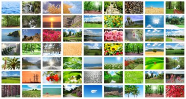 Collage of many nature photos clipart