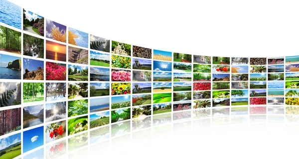 Collage aus vielen Naturfotos — Stockfoto