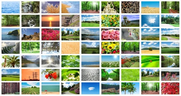 Collage de muchas fotos de la naturaleza — Foto de Stock