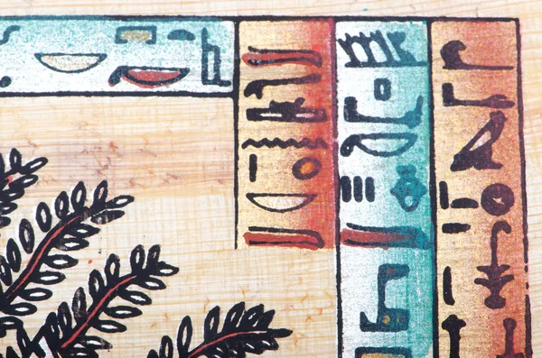 Єгипетські папірус як фон — стокове фото