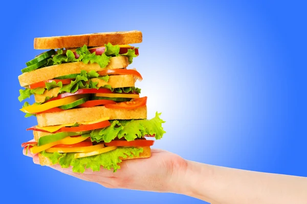Гігантський бутерброд на градієнтному фоні — стокове фото