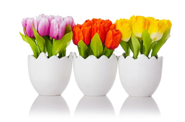 A fehér tulipán virágok elszigetelt — Stock Fotó