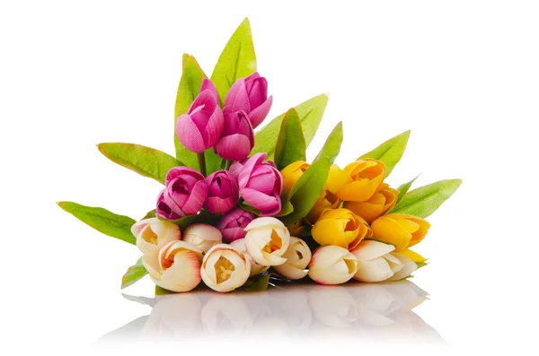 Květiny tulipány izolovaných na bílém — Stock fotografie