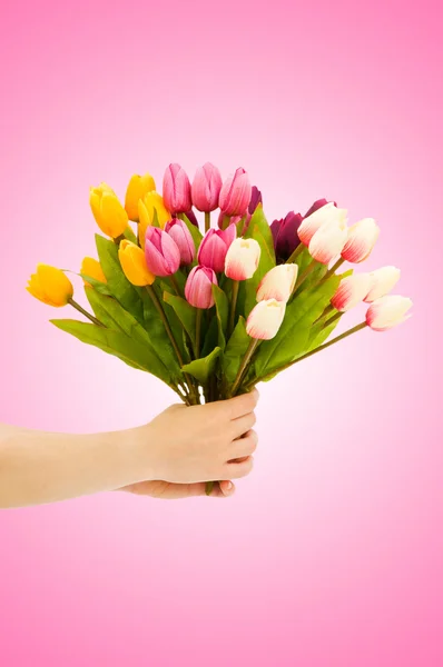 Ręka z tulipanów na gradientowe — Zdjęcie stockowe