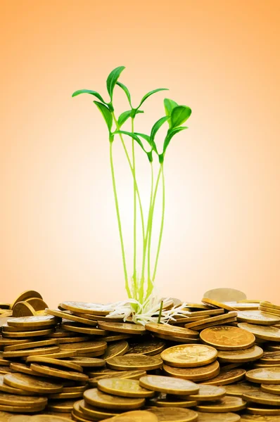 Concept de croissance monétaire avec pièces et semis — Photo