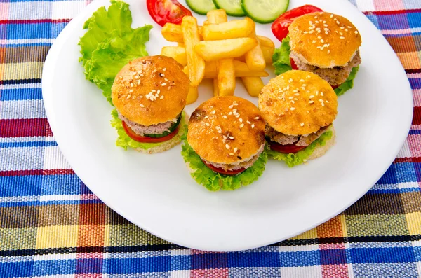 stock image Burgers with french fries in plate