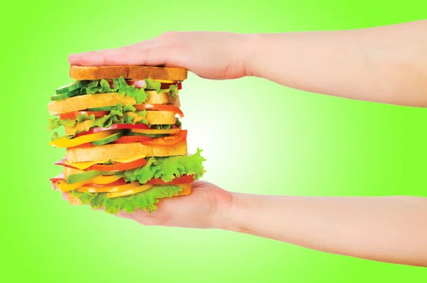 Riesen-Sandwich vor Gradientenhintergrund — Stockfoto