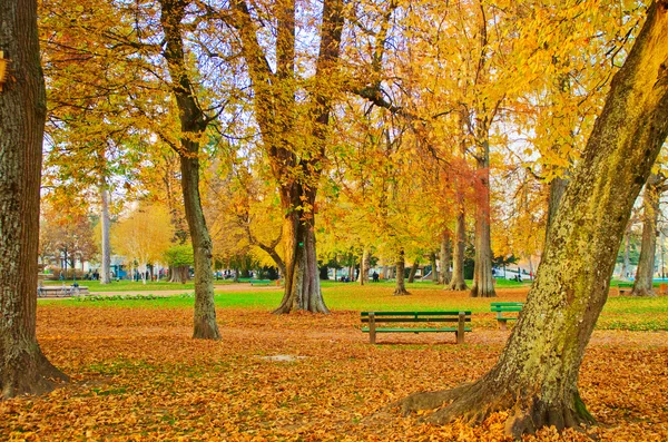 Syksyllä kaupungin puistossa — kuvapankkivalokuva