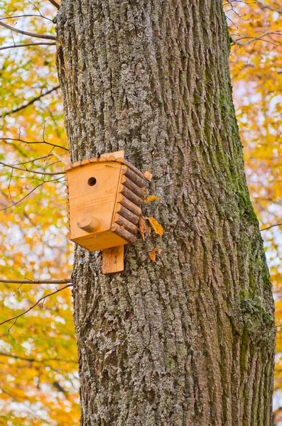 Casa de pássaros na floresta de outono — Fotografia de Stock