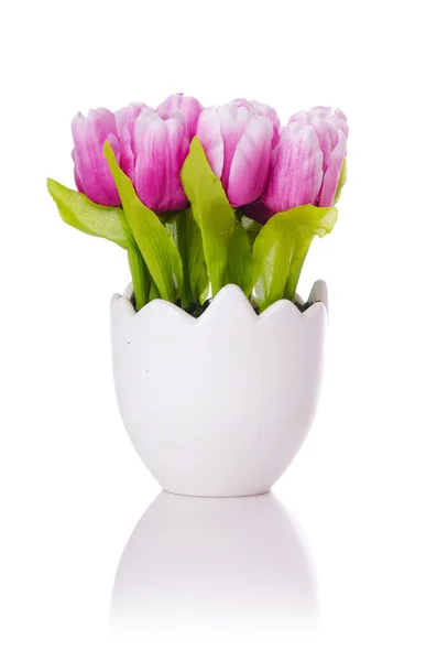 Tulpen blühen isoliert auf dem weißen — Stockfoto