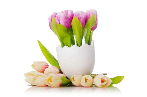 Тюльпаны цветы изолированы на белом — стоковое фото
