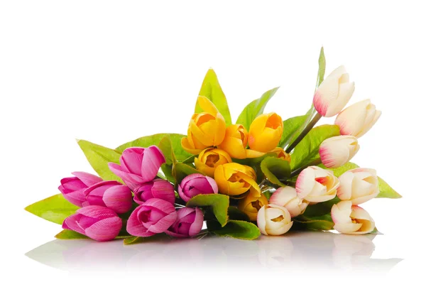 Tulpen bloemen geïsoleerd op de witte — Stockfoto