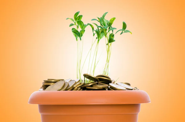 Gröna plantor växer från högen av mynt — Stockfoto