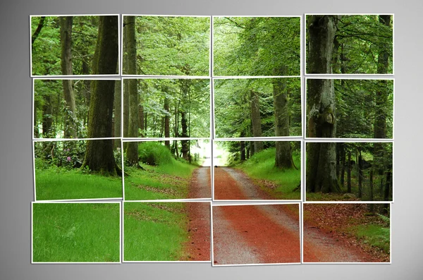 Foto tagliata a pezzi con concetto di natura — Foto Stock