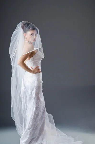 เจ้าสาวในชุดแต่งงานในสตูดิโอถ่ายภาพ — ภาพถ่ายสต็อก