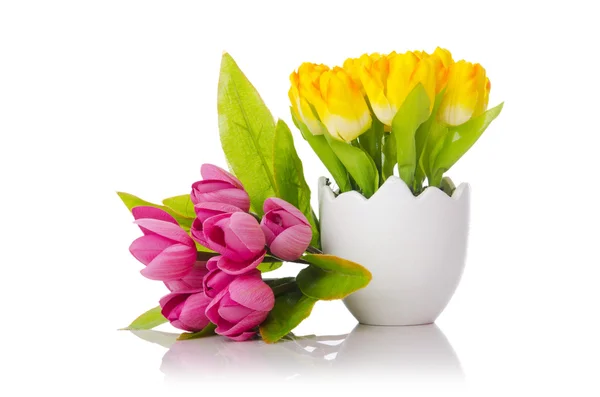 Tulipanes flores aisladas en el blanco —  Fotos de Stock