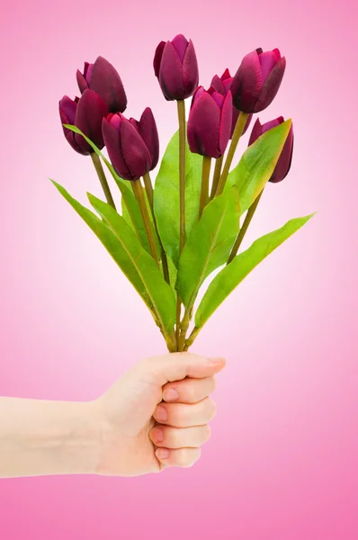 Hand with tulips on gradient — Stock Photo, Image