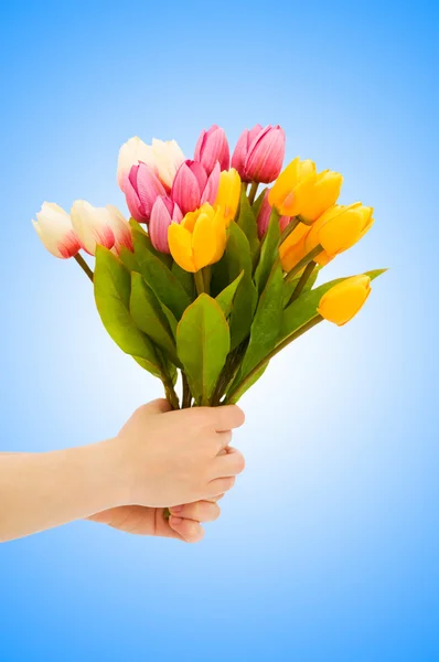 Mão com tulipas em gradiente — Fotografia de Stock