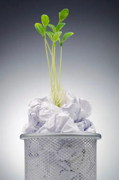 Mudas verdes que crescem fora do papel — Fotografia de Stock