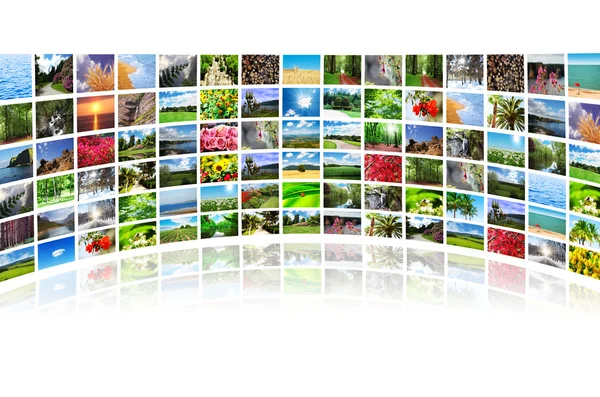 Collage de muchas fotos de la naturaleza —  Fotos de Stock