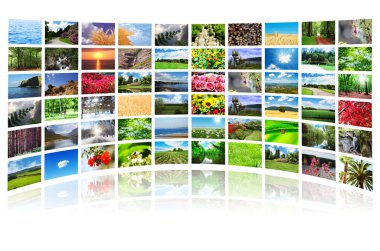 Collage of many nature photos clipart