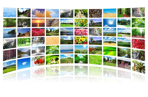 Collage van vele natuurfoto 's — Stockfoto
