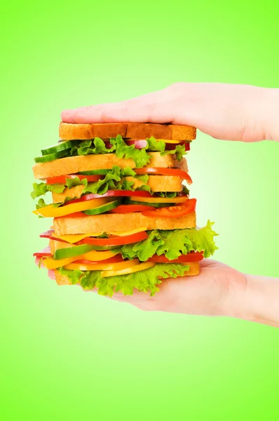 Reus sandwich tegen achtergrond met kleurovergang — Stockfoto