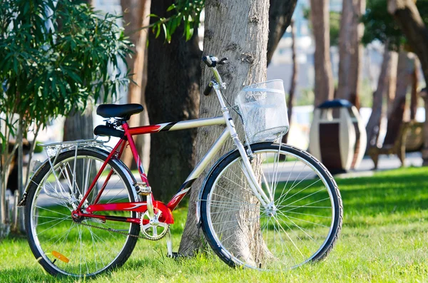 Cykel cykel i parken — Stockfoto