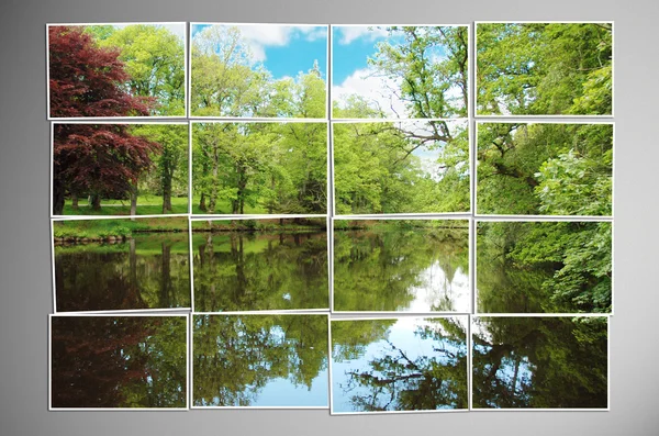 Photo cut into pieces with nature concept — Stock Photo, Image