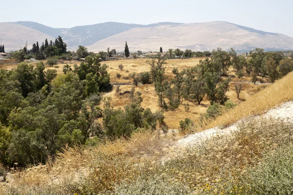 Beit shean.israel を春します。 — ストック写真
