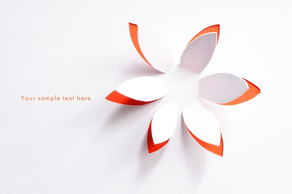 Cartão de saudação whith flor de papel — Fotografia de Stock