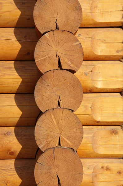 木の丸太 — ストック写真