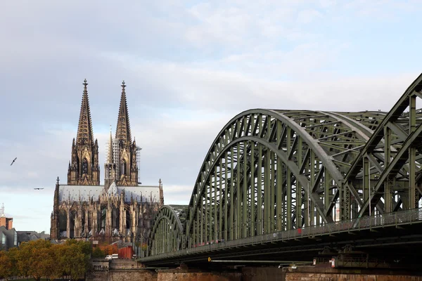 DOM à Cologne — Photo