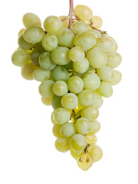 Green grapes clipart