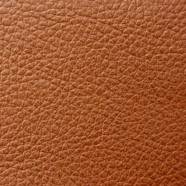 Leather Stock Image