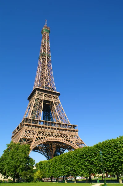 Eiffel tower Stock Image
