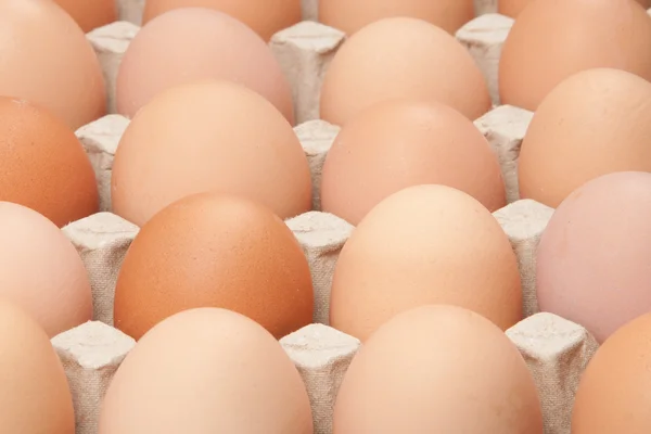 stock image Eggs