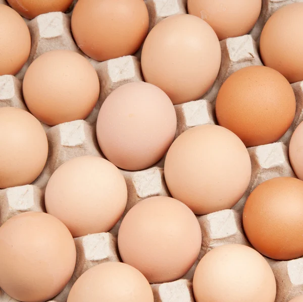 stock image Eggs