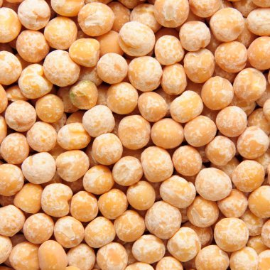 Yellow pea clipart